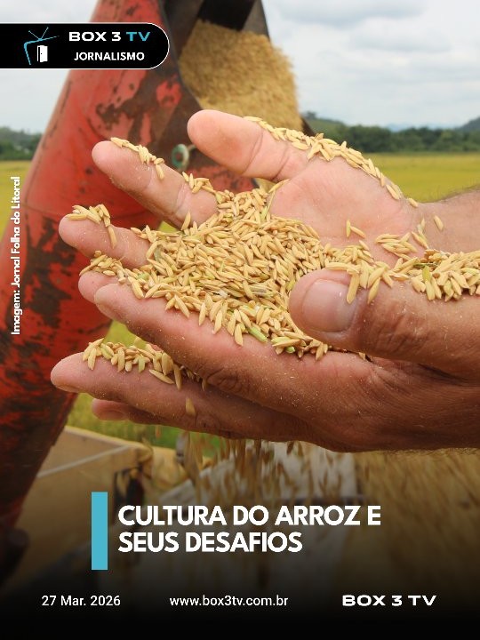 Post: O Governo Federal anunciou a subvenção d…