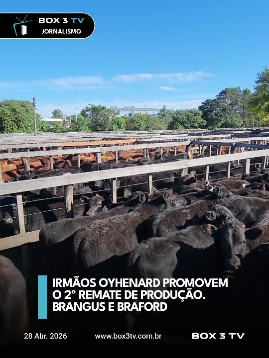 Post: II Remate de Produção Irmãos Oyhenard mo…