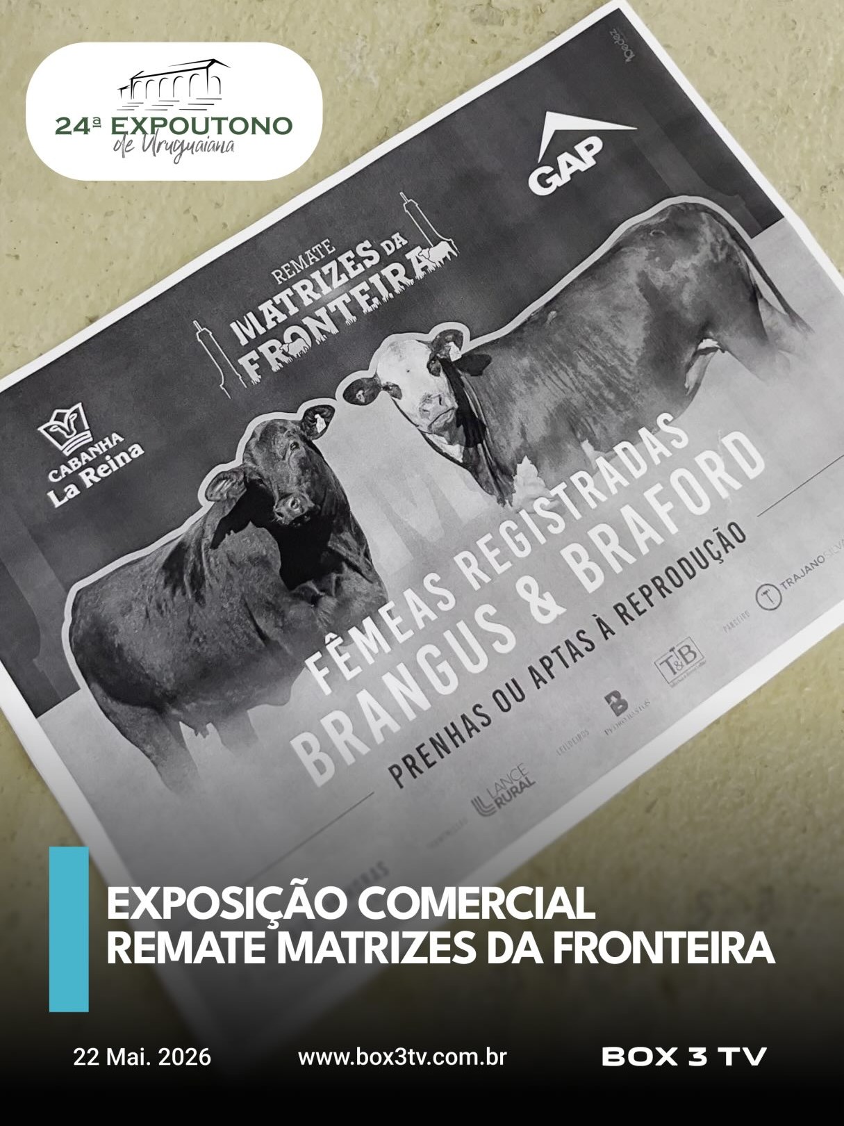 Post: É HOJE! MATRIZES DA FRONTEIRA! 🐂🔨

A 24a…