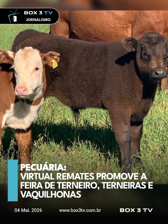 Post: FEIRA DO TERNEIRO, TERNEIRA E VAQUILHONA…