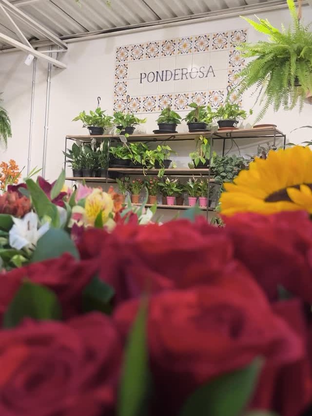 Post: 🌹 Algumas datas passam pelo calendário. …