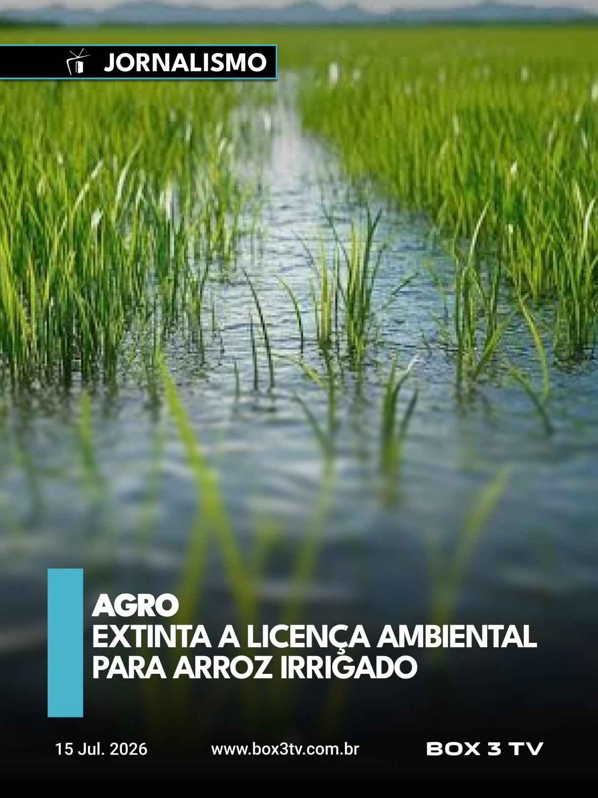 Post: Menos burocracia para a produção de arro…