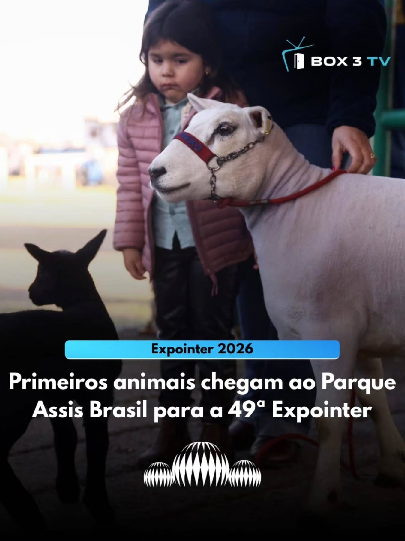 Post: A movimentação para a 49ª Expointer come…