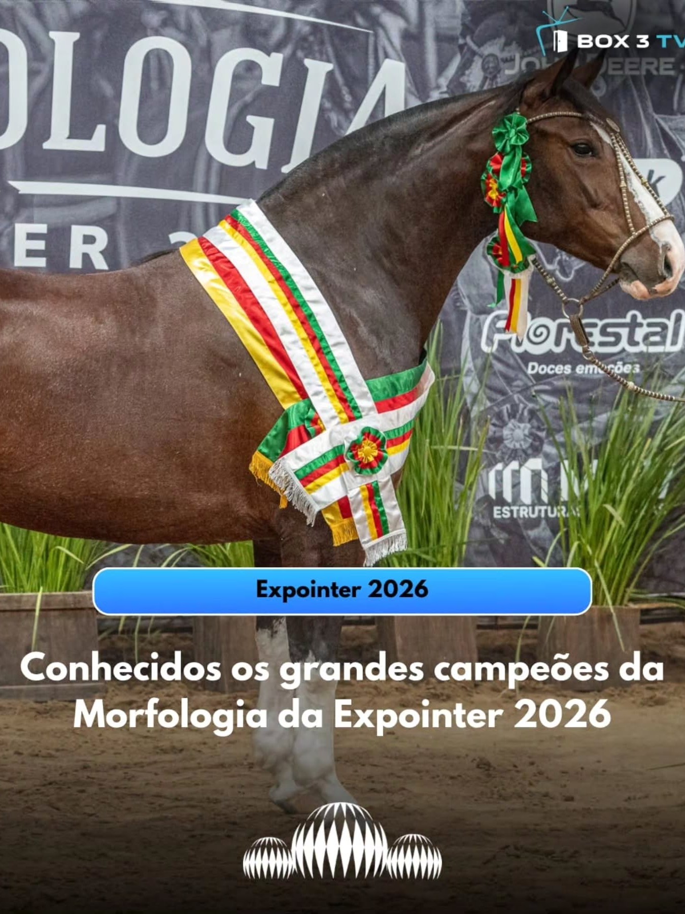 Post: A égua Belle Reserva voltou a vencer a p…