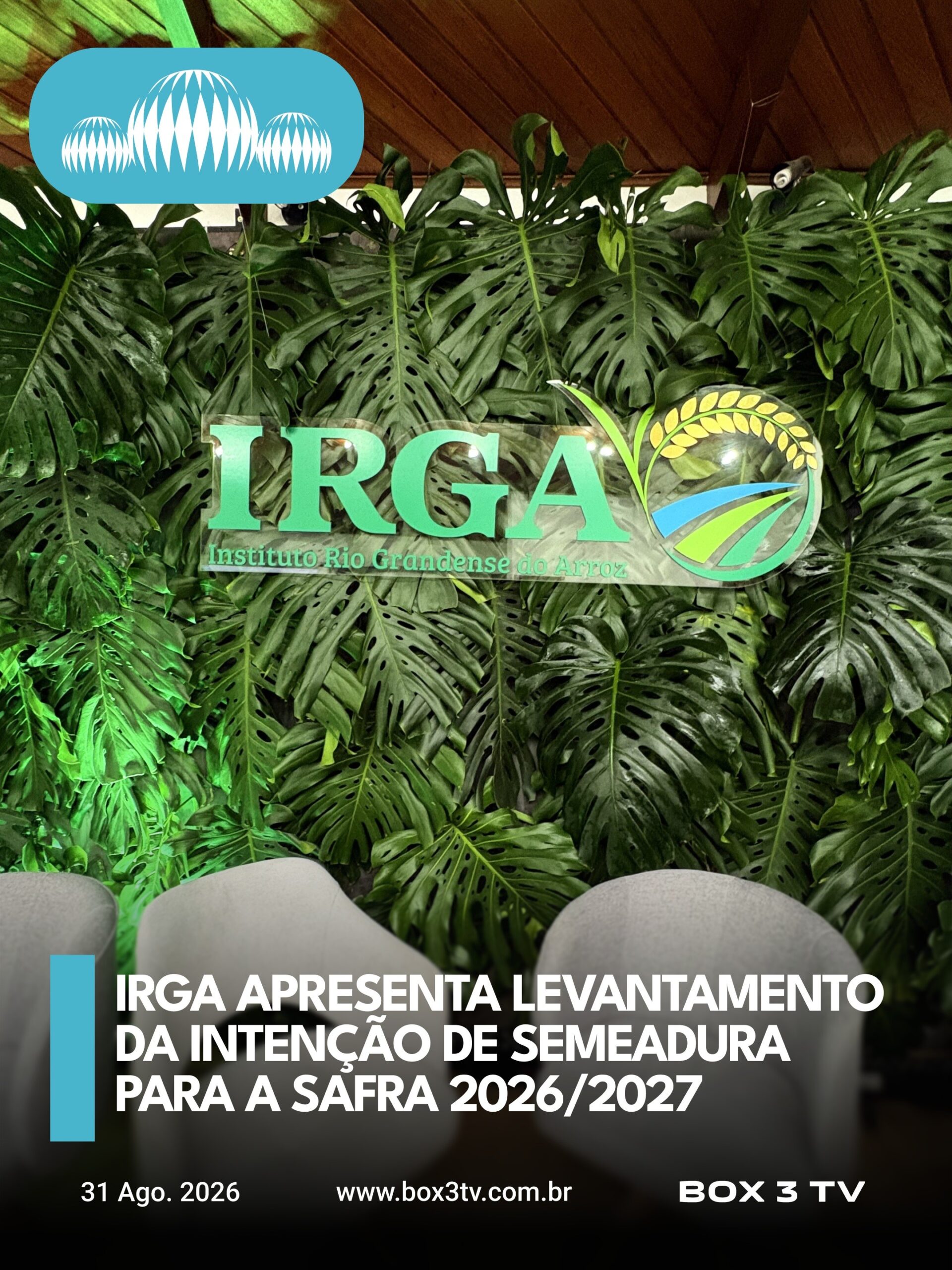 Post: A produção de arroz foi destaque nesta s…