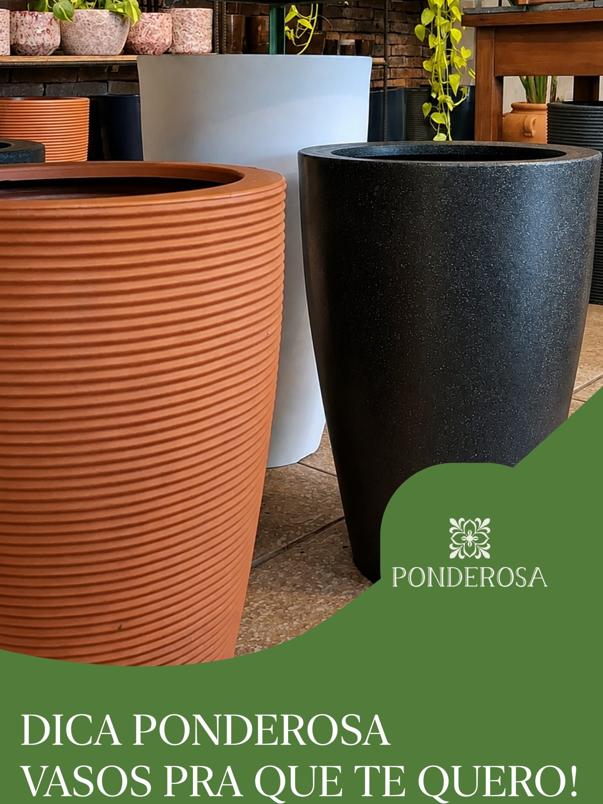 Post: O vaso certo também faz parte da decoraç…