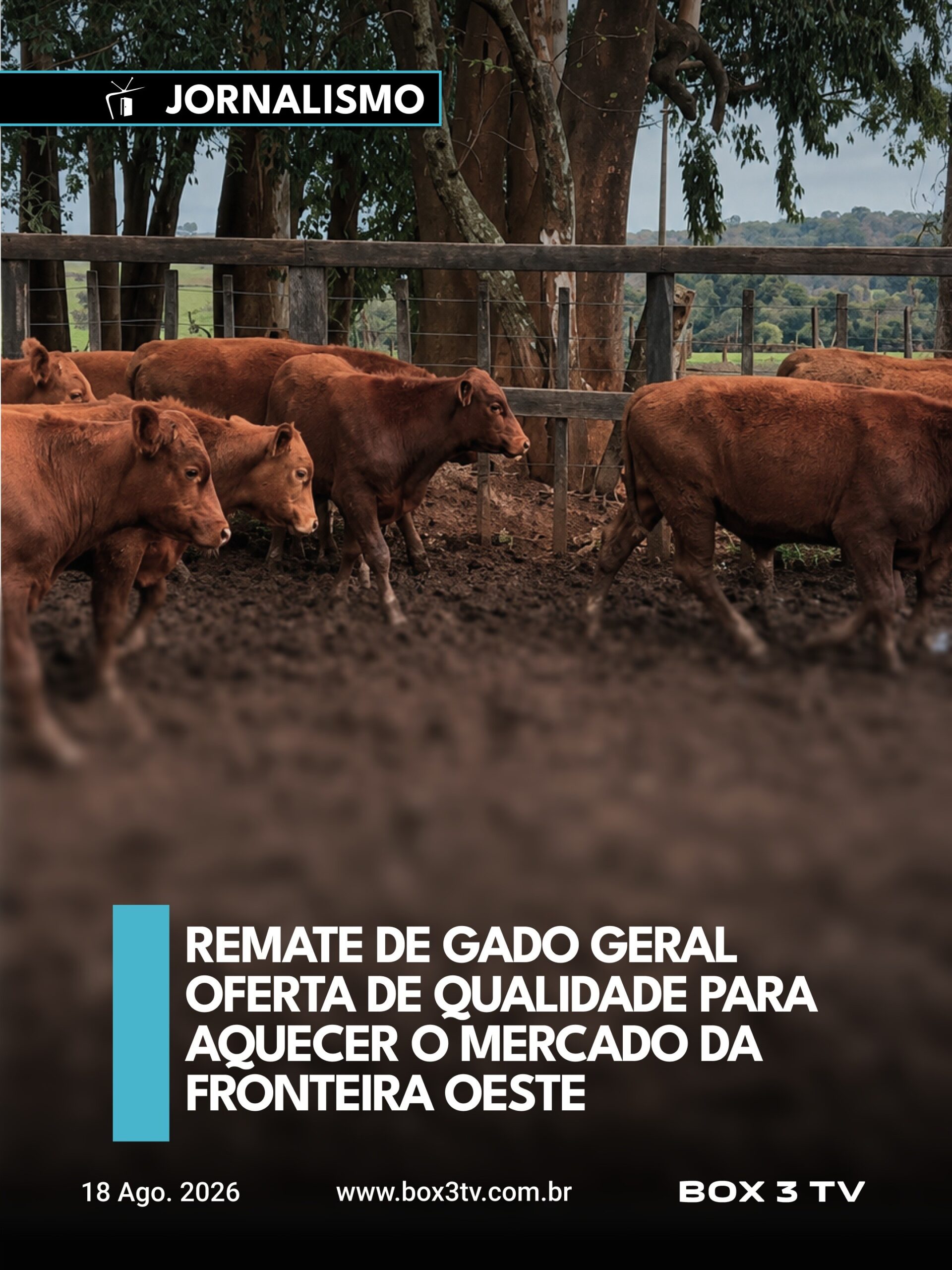 Post: PECUÁRIA AQUECIDA MOVIMENTA O MERCADO NA…