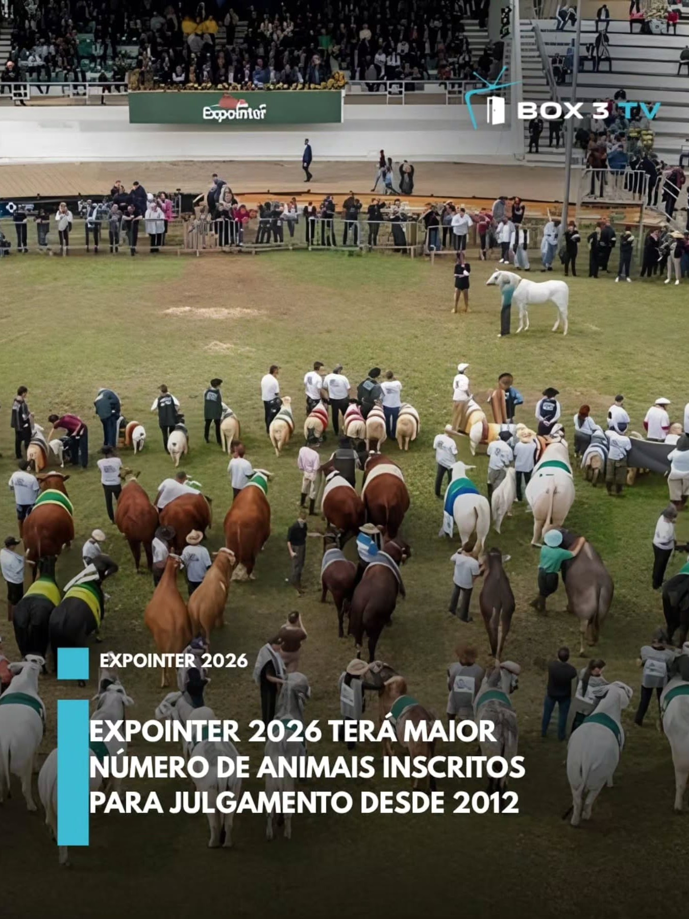 Post: A 49ª Expointer terá 5.756 animais inscr…