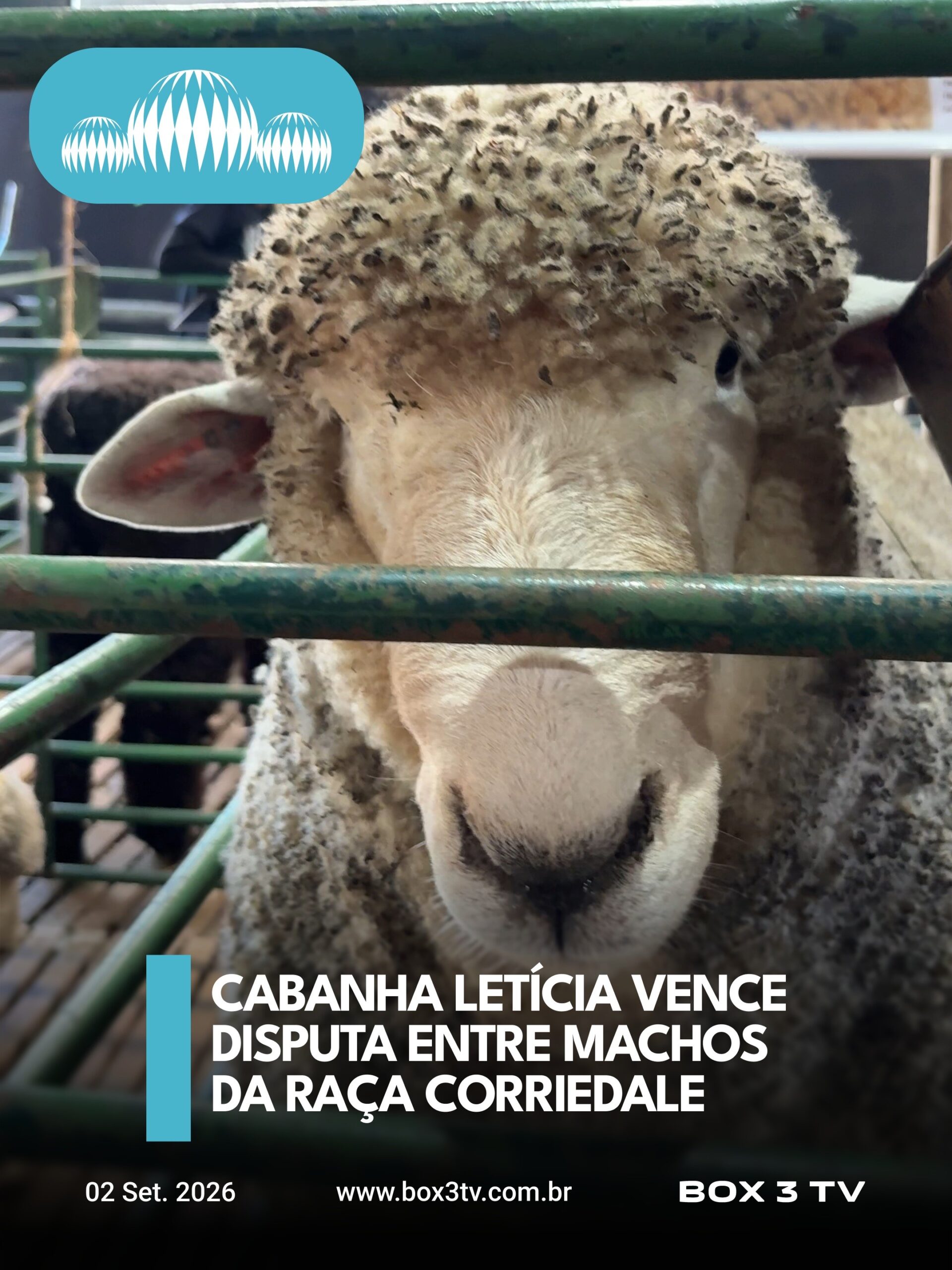 Post: Na Expointer 2026, a Cabanha Letícia, de…
