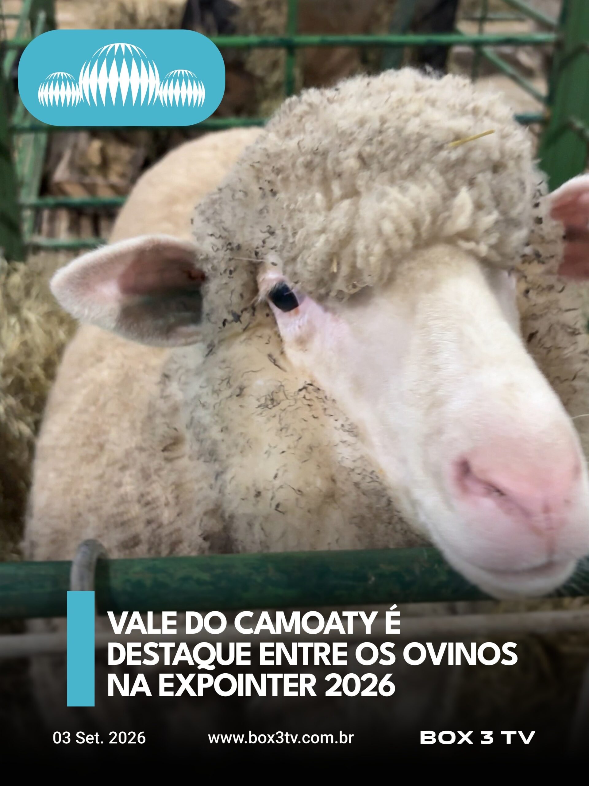 Post: Uruguaiana novamente em evidência na mai…