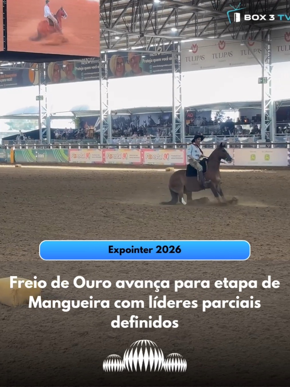 Post: O Freio de Ouro entrou, nesta sexta-feir…