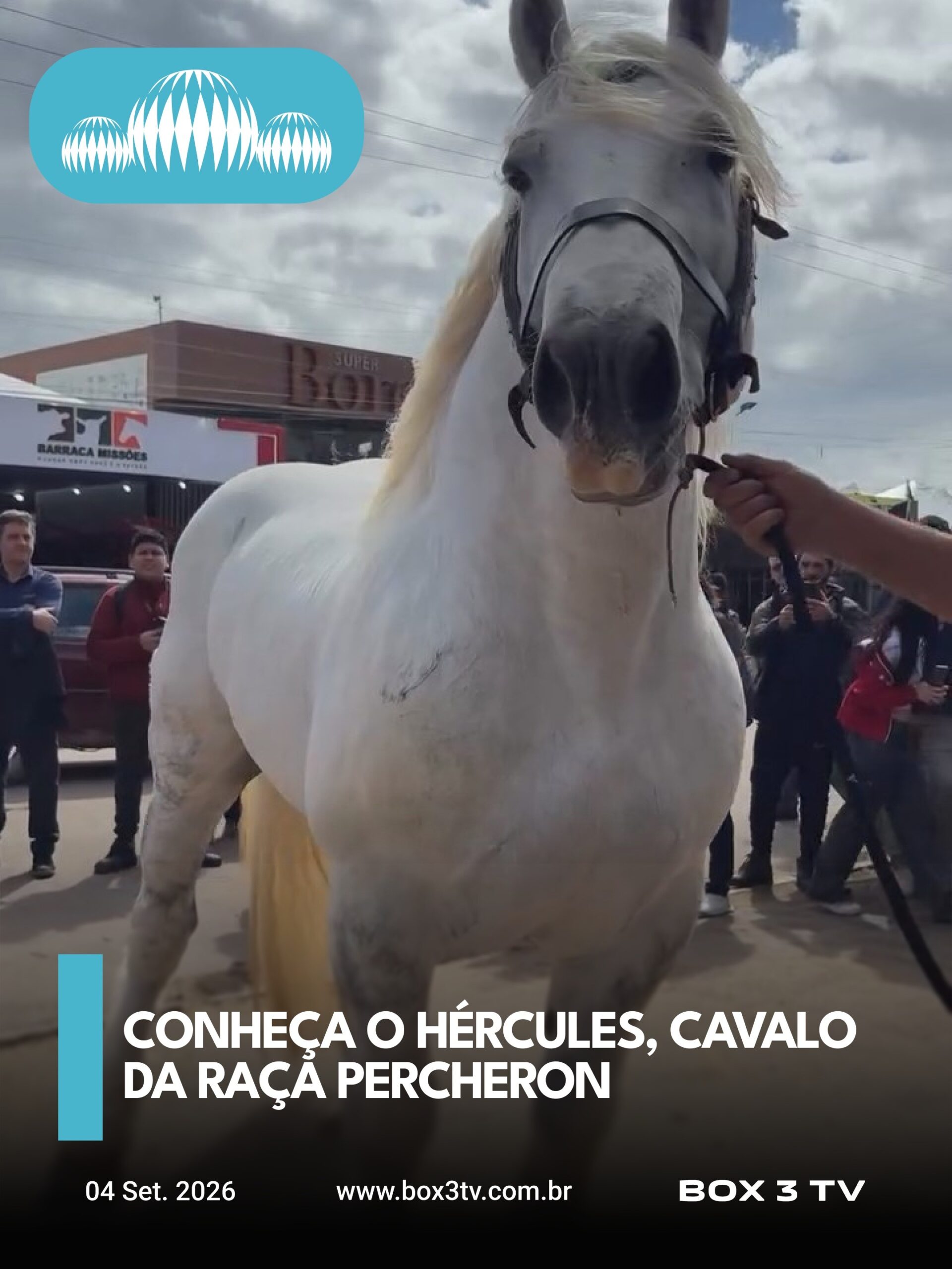 Post: Com 1,73 metro de altura e aproximadamen…