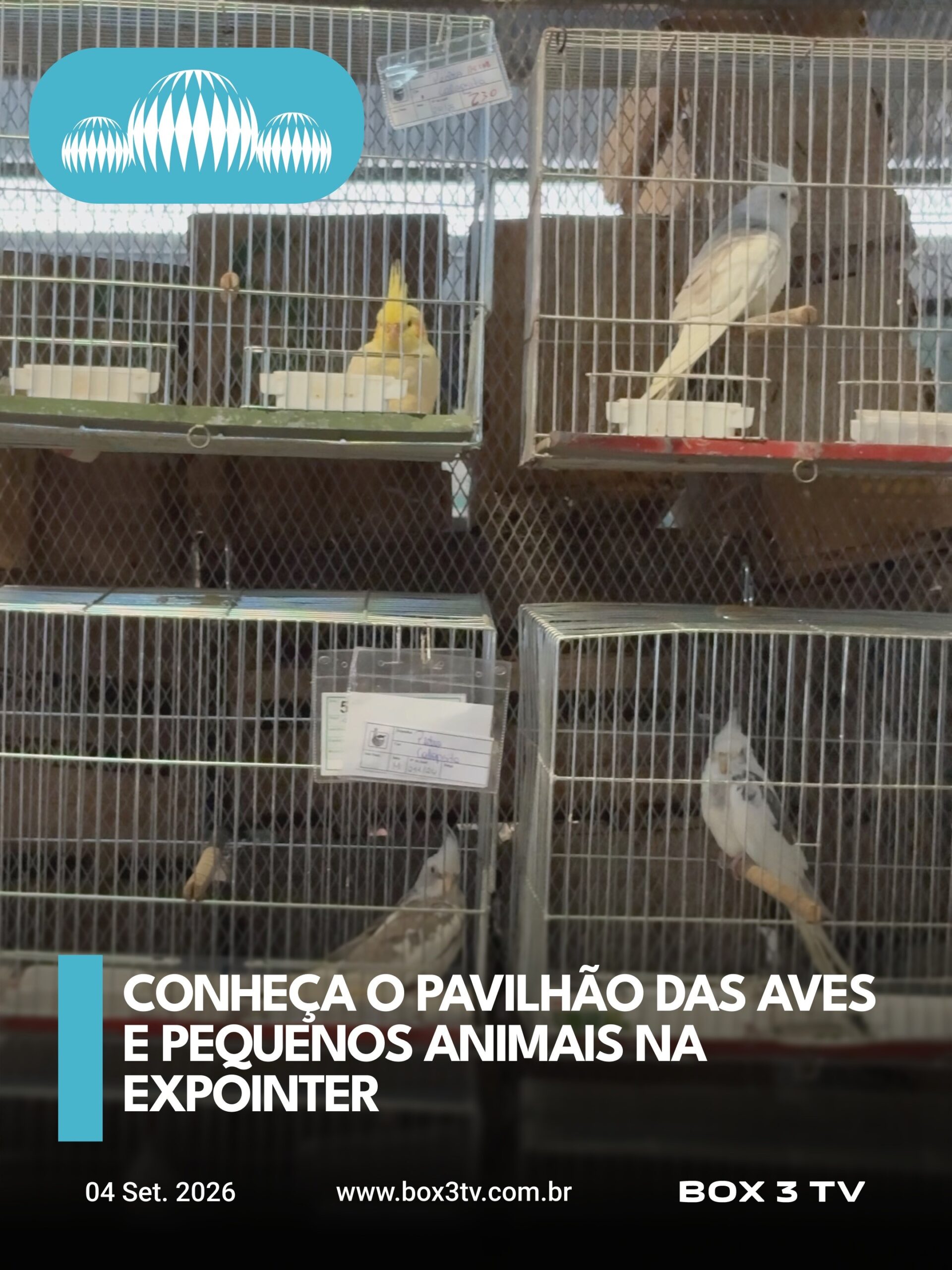 Post: A Expointer também tem espaço para os pe…